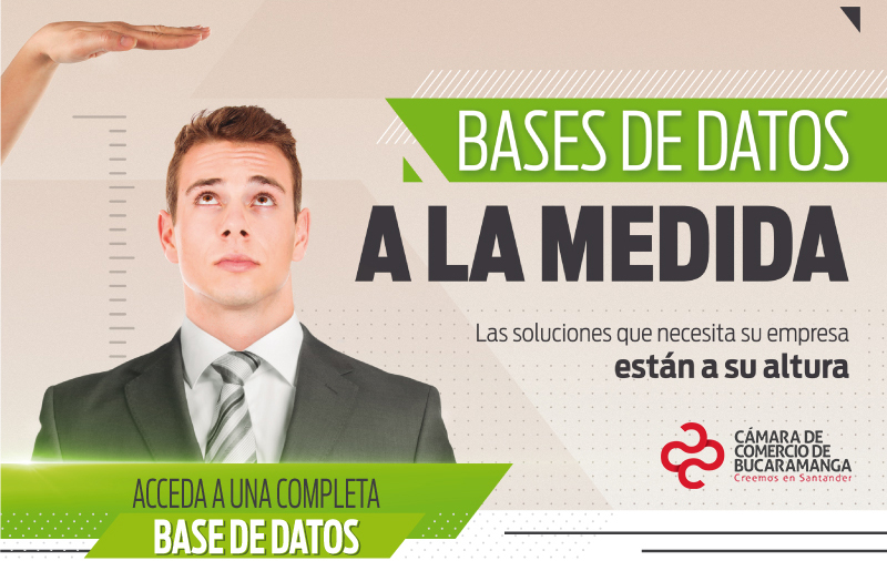 base de datos a la medida - Qué son las bases de datos base de datos a la medida - Qué son las bases de datos