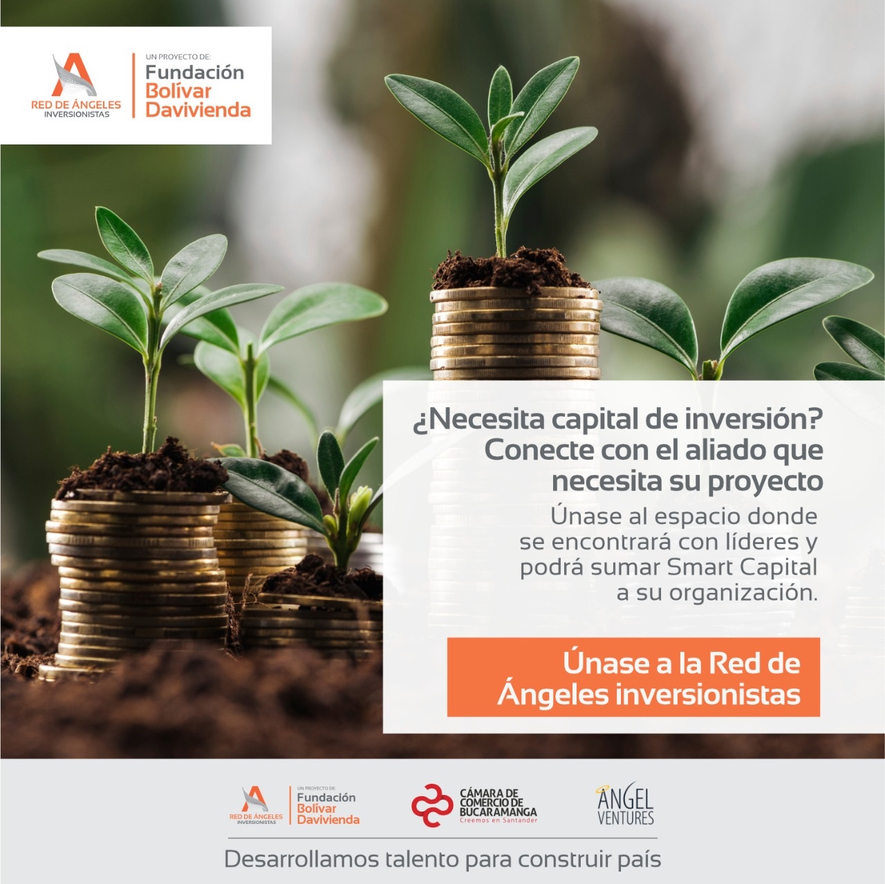 La Red de Ángeles Inversionistas, una alternativa exitosa para potencializar los emprendimientos colombianos