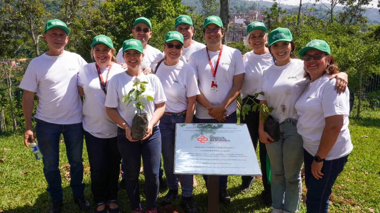 La Cámara de Comercio de Bucaramanga sembró los primeros 150 árboles de los 400 que obsequiará a la ciudad