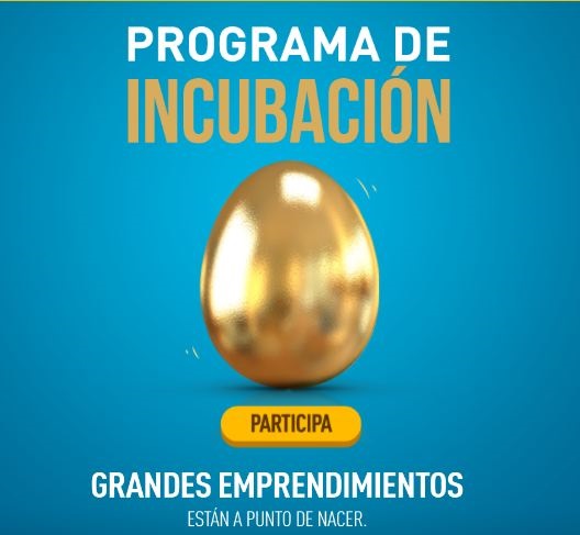 En Coworking Labs, nacen grandes emprendimientos tecnológicos