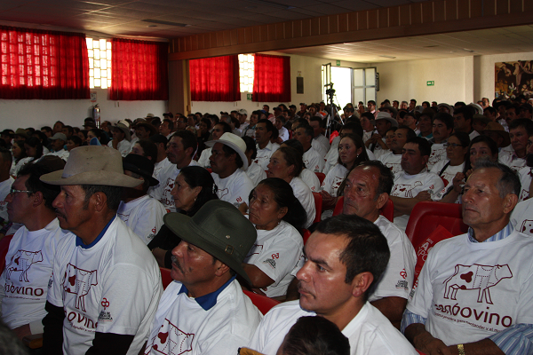 33,5 toneladas de "carne en pie" comercializaron productores vinculados al proyecto Sanbovino durante Feria Ganadera de Pangote  