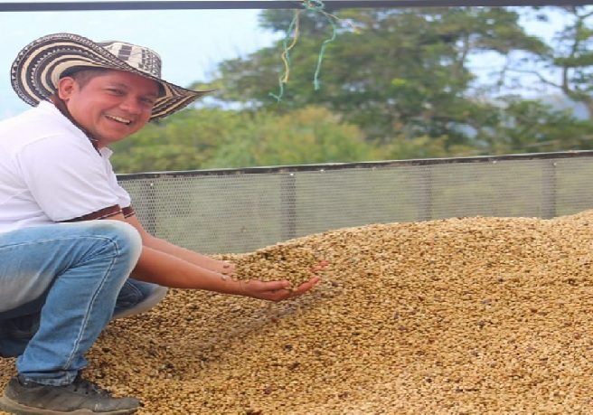 Café de Santander en el "Top 10" de Taza de Excelencia