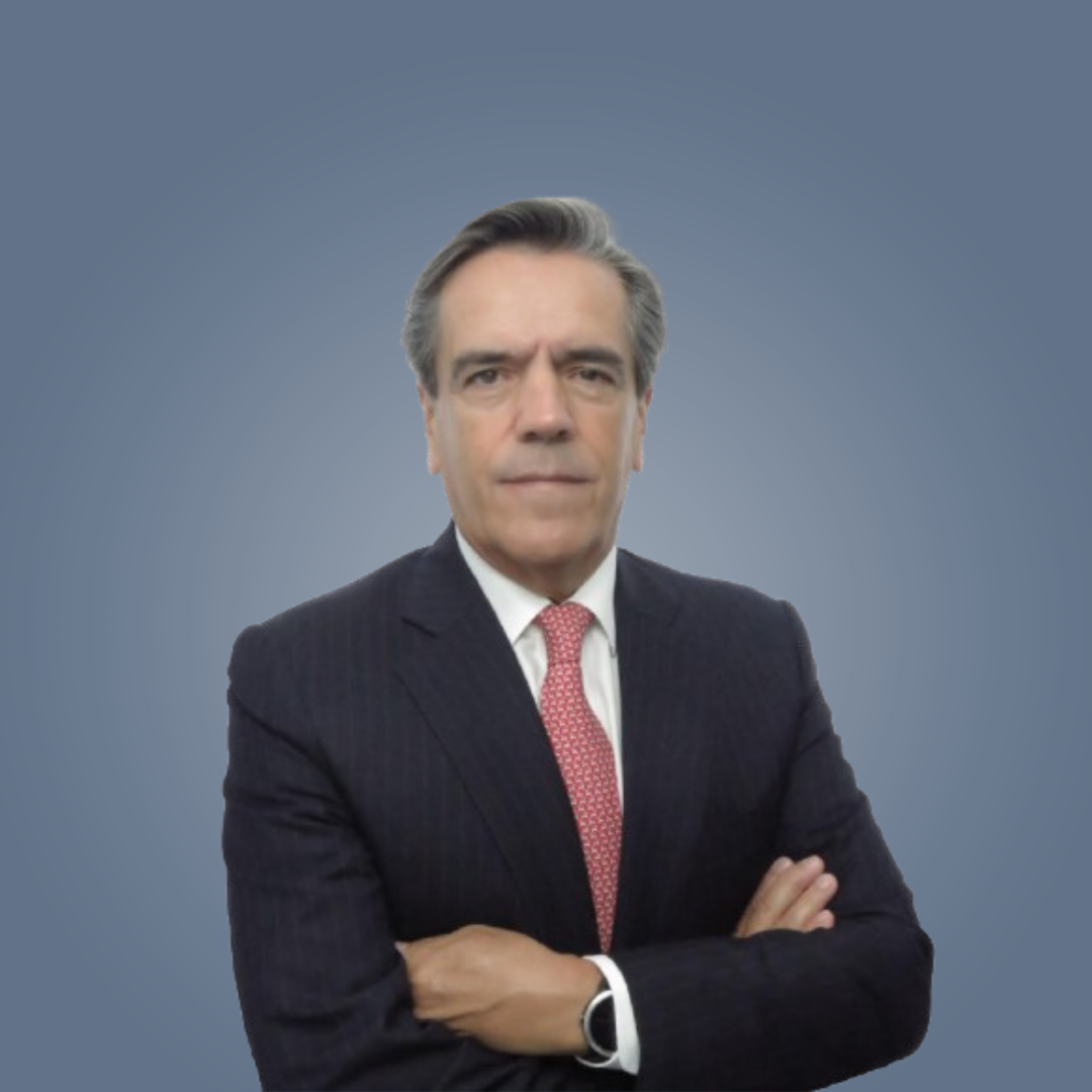 LUIS FERNANDO VILLEGAS GUTIÉRREZ