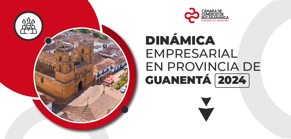 DinÃ¡mica Empresarial en Provincia de GuanentÃ¡ 2024