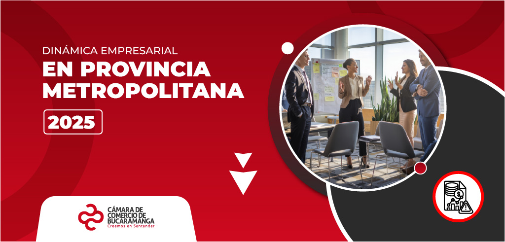 Dinámica Empresarial en Provincia Metropolitana 2025