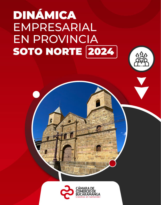 Dinámica Empresarial en Provincia de Soto Norte 2024