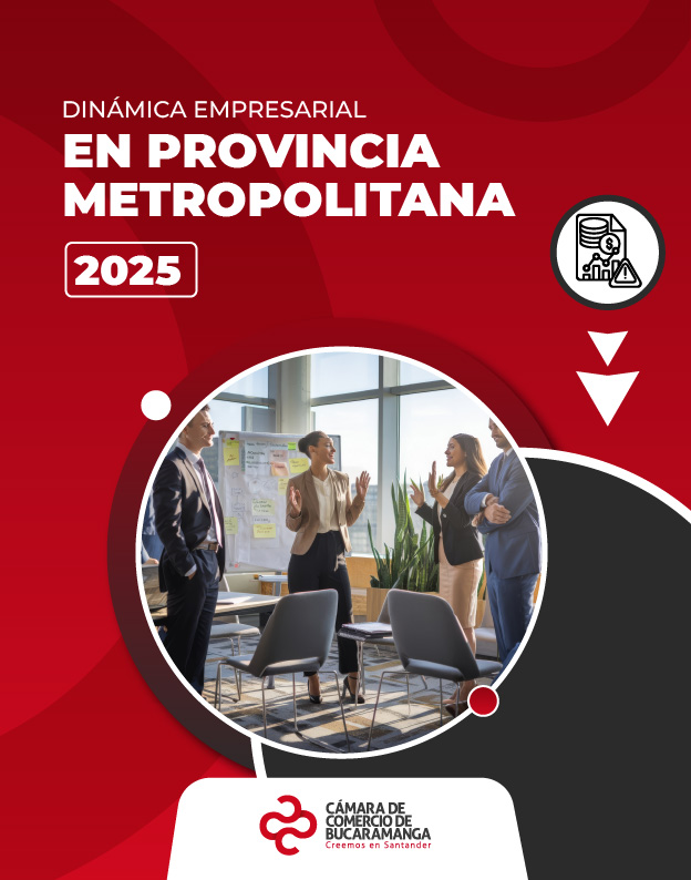 Dinámica Empresarial en Provincia Metropolitana 2025