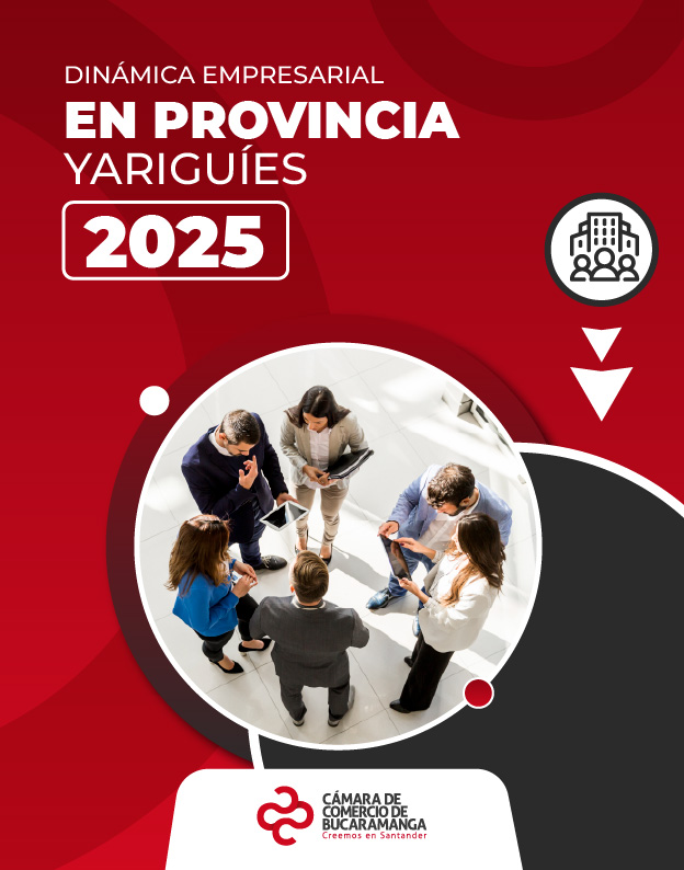 Dinámica Empresarial en Provincia de Yariguíes 2025