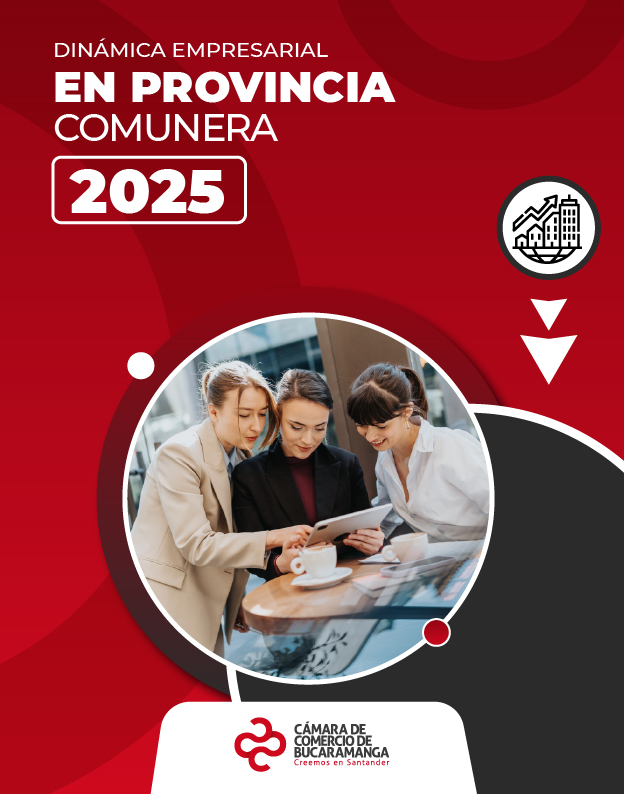 Dinámica Empresarial en Provincia Comunera 2025