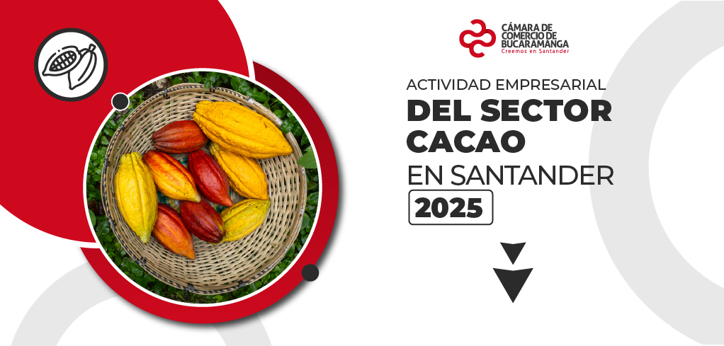 Actividad empresarial del sector CACAO en Santander 2025