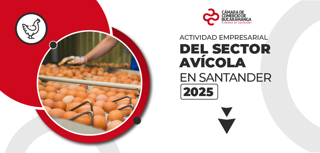 Actividad empresarial del sector AVÍCOLA en Santander 2025