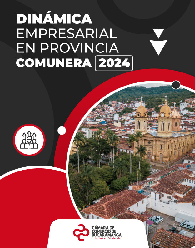 Dinámica Empresarial en Provincia Comunera 2024