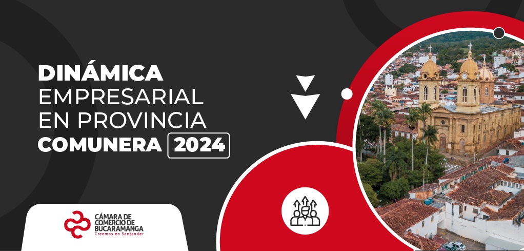 Dinámica Empresarial en Provincia Comunera 2024