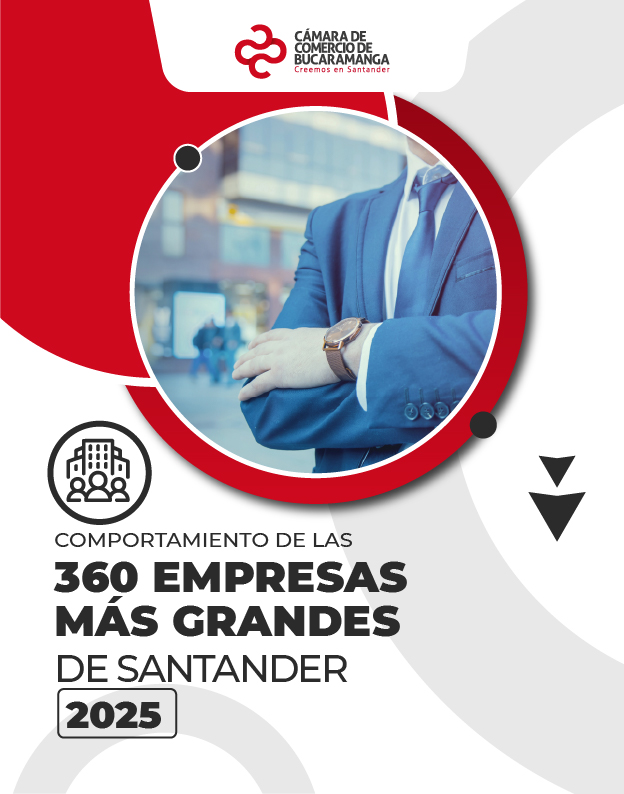 Comportamiento de las 360 empresas más grandes de Santander 2025*