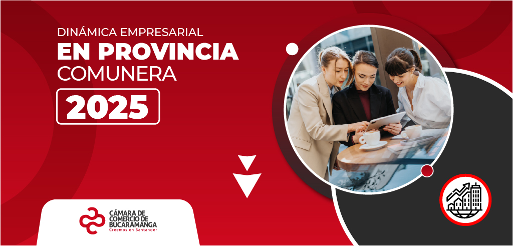Dinámica Empresarial en Provincia Comunera 2025