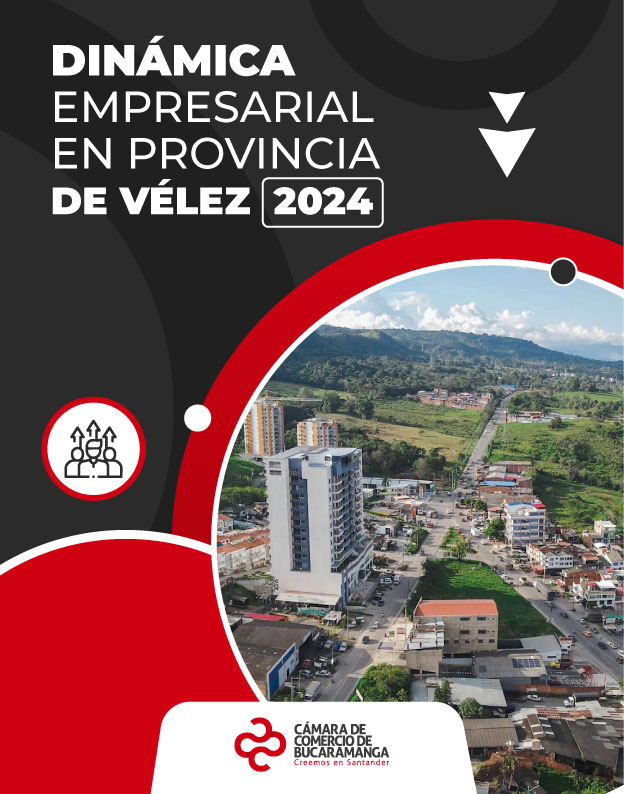 Dinámica Empresarial en Provincia de Vélez 2024