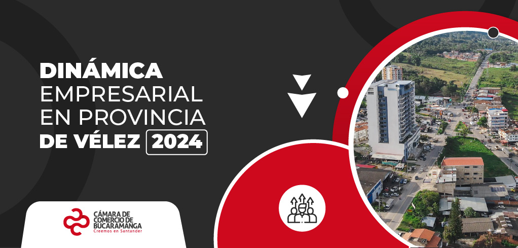 Dinámica Empresarial en Provincia de Vélez 2024