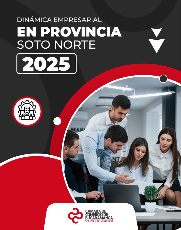 Dinámica Empresarial en Provincia de Soto Norte 2025