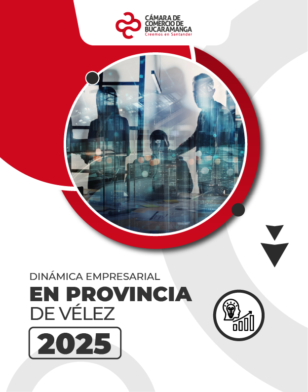 Dinámica Empresarial en Provincia de Vélez 2025