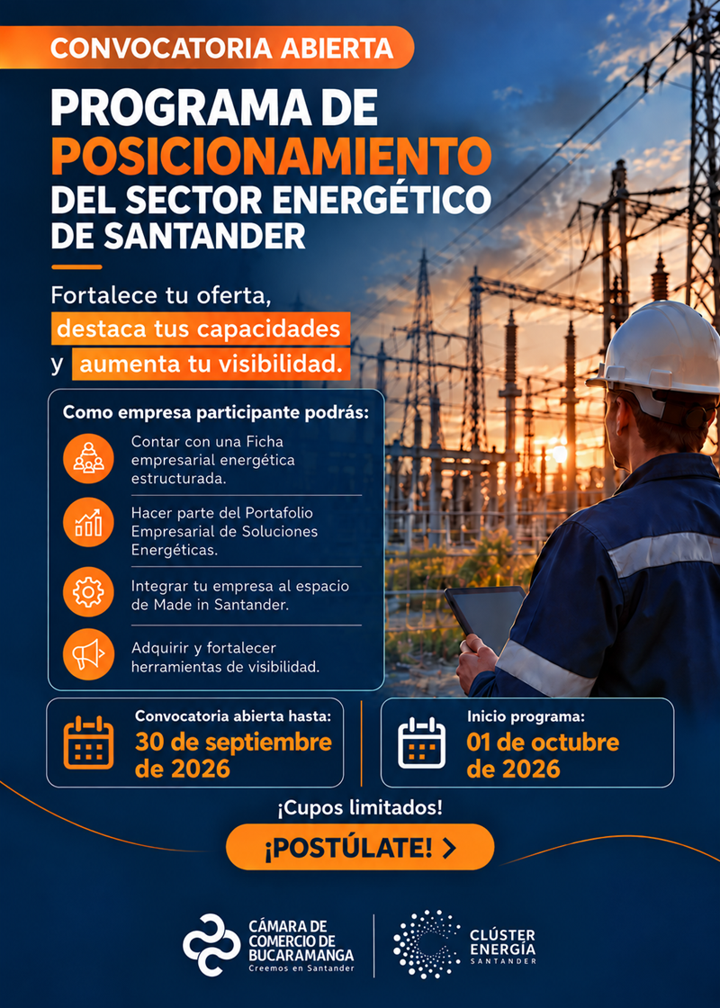 PROGRAMA DE POSICIONAMIENTO DEL SECTOR ENERG&Eacute;TICO DE SANTANDER