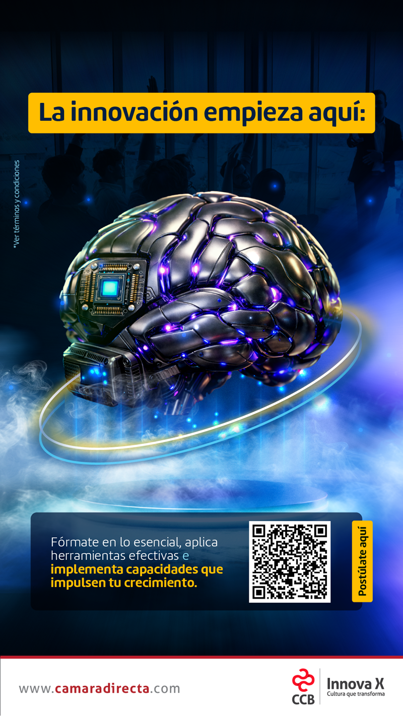 PROGRAMA INNOVAX 2026