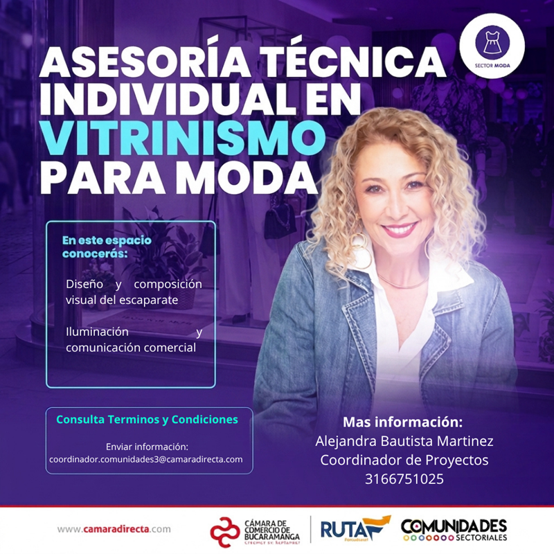 ASISTENCIA T&Eacute;CNICA INDIVIDUAL VITRINISMO PARA MODA Y VISUAL MERCHANDISING