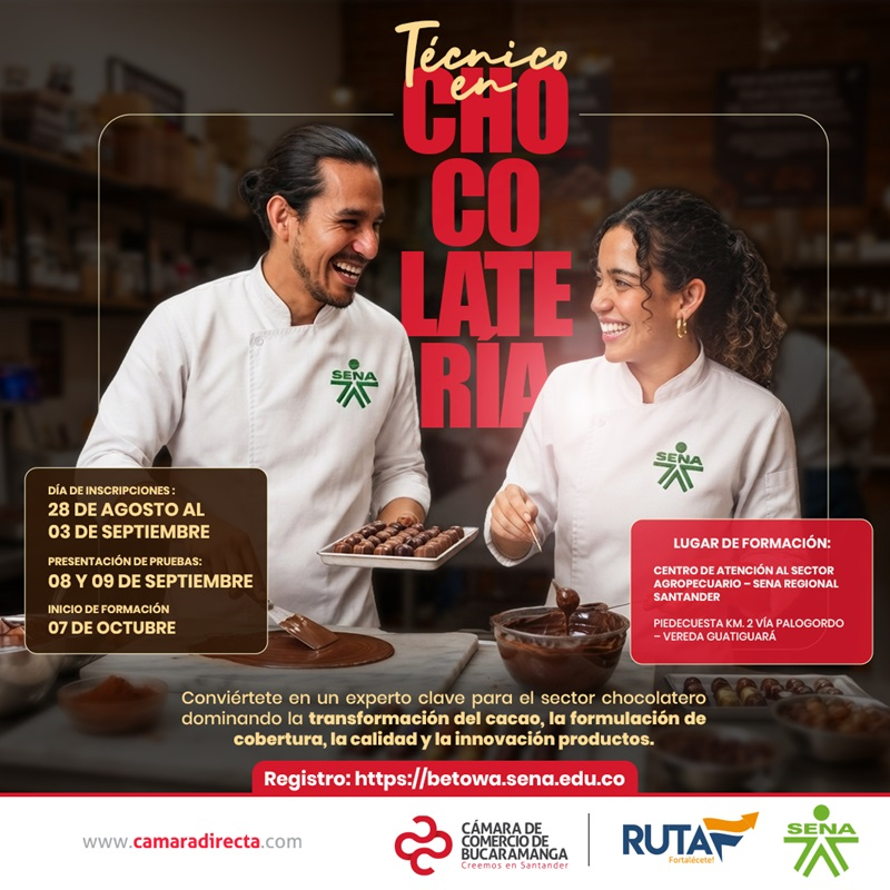 T&Eacute;CNICO EN CHOCOLATER&Iacute;A 