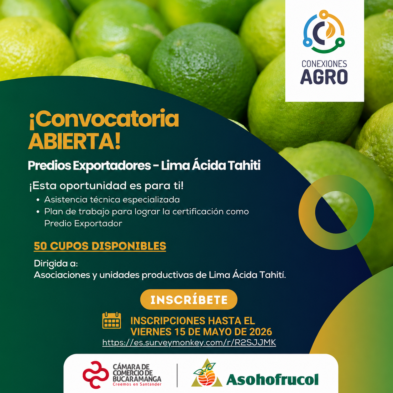 CONVOCATORIA ABIERTA ALISTAMIENTO PREDIOS EXPORTADORES - LIMA &Aacute;CIDA TAHIT&Iacute;