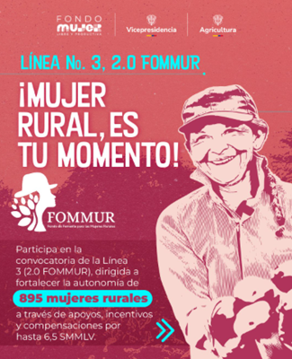 MUJER RURAL, línea de cofinanciación No 3