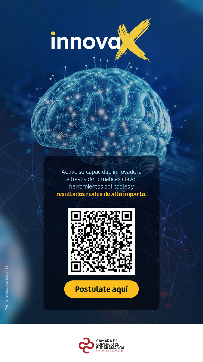 PROGRAMA INNOVAX