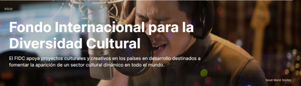FONDO INTERNACIONAL PARA LA DIVERSIDAD CULTURAL 