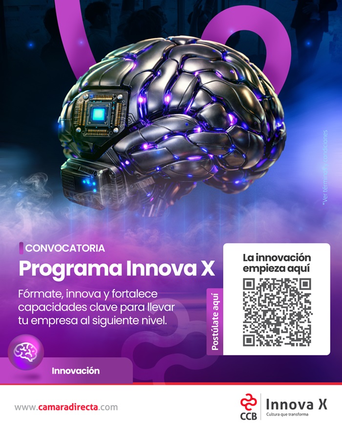 PROGRAMA INNOVAX 2026