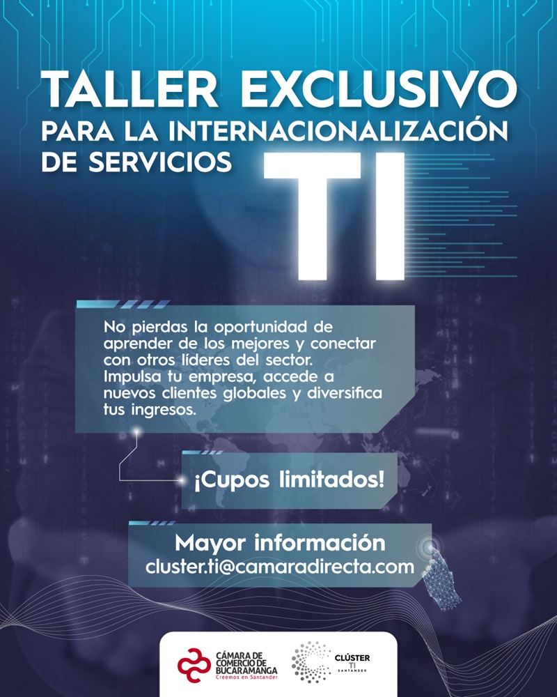 PROGRAMA DE INTERNACIONALIZACIÓN SERVICIOS TI
