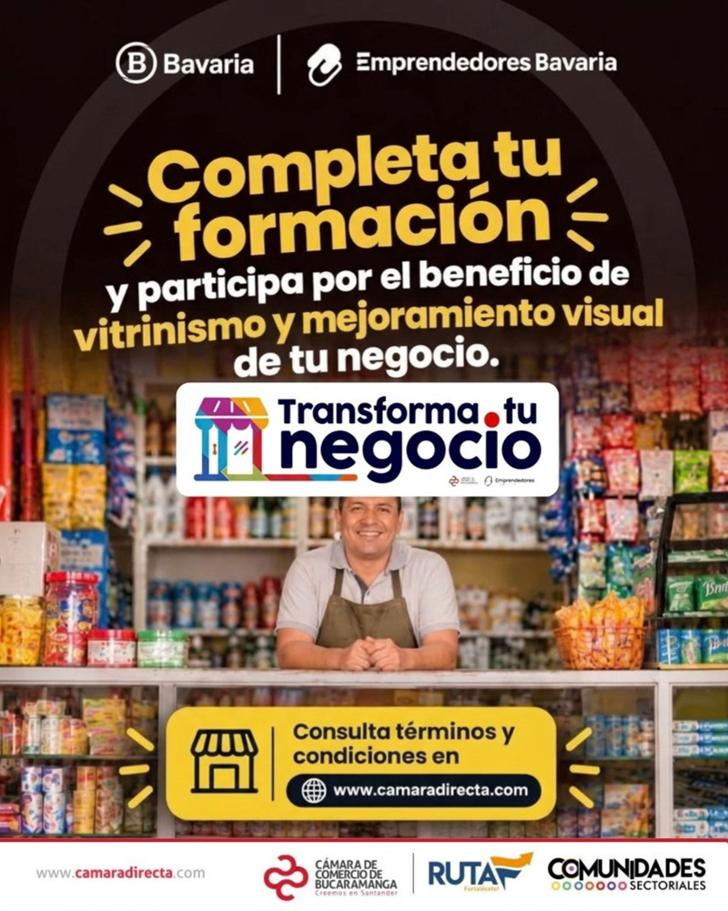 FASE DE VITRINISMO Y MEJORAMIENTO VISUAL
