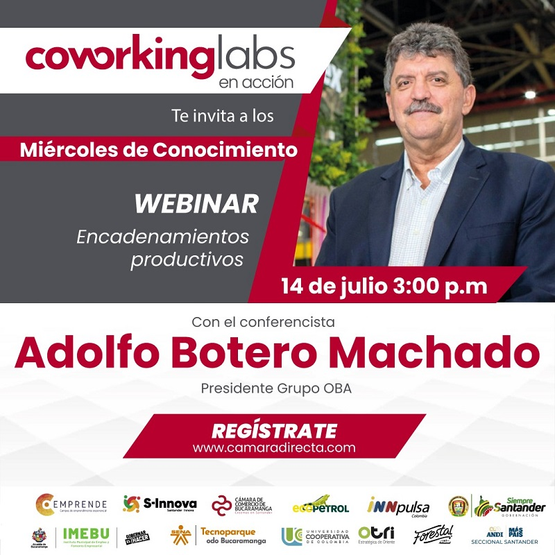 WEBINAR ENCADENAMIENTOS PRODUCTIVOS