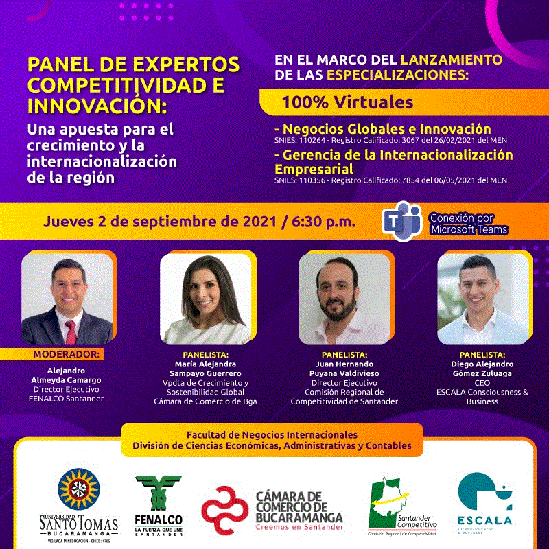 PANEL DE EXPERTOS EN COMPETITIVIDAD E INNOVACI&Oacute;N 