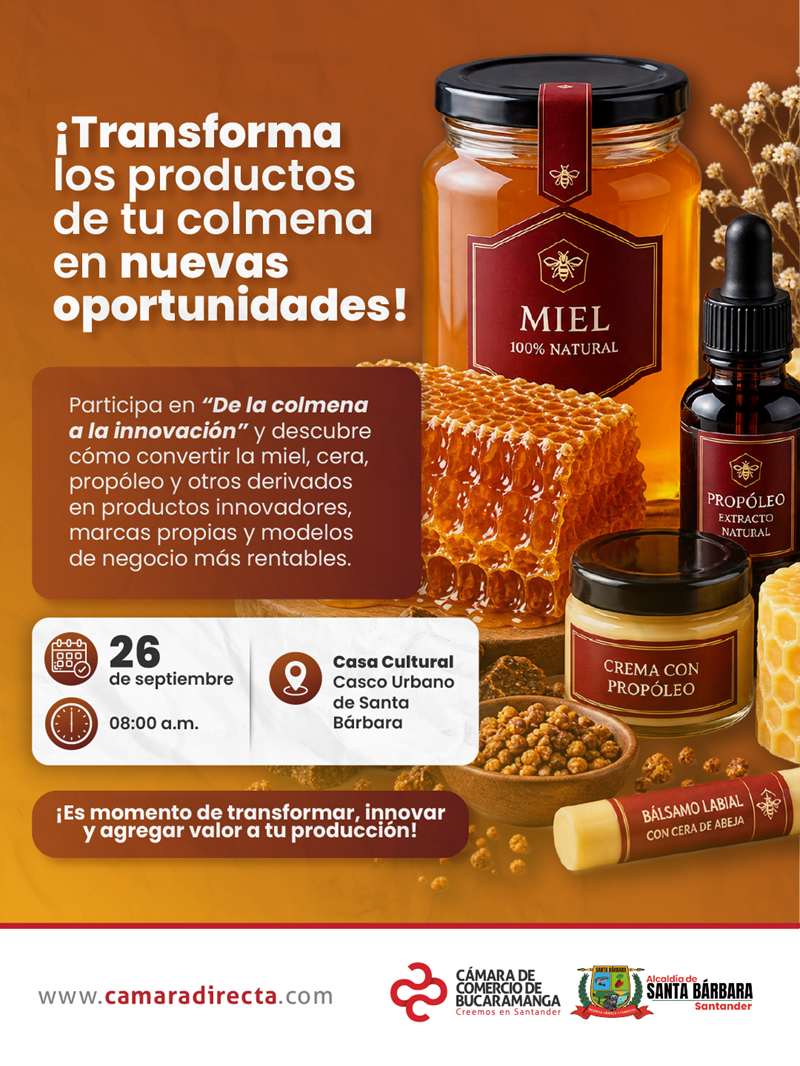 DE LA COLMENA A LA INNOVACI&Oacute;N