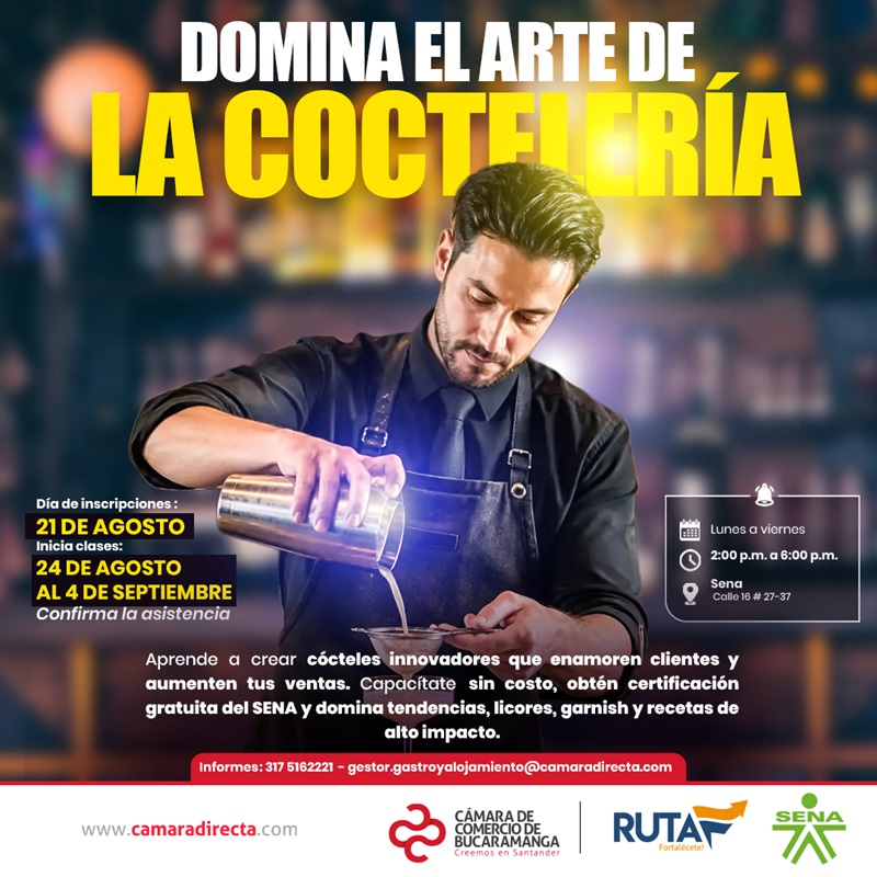DOMINA EL ARTE DE LA COCTELER&Iacute;A