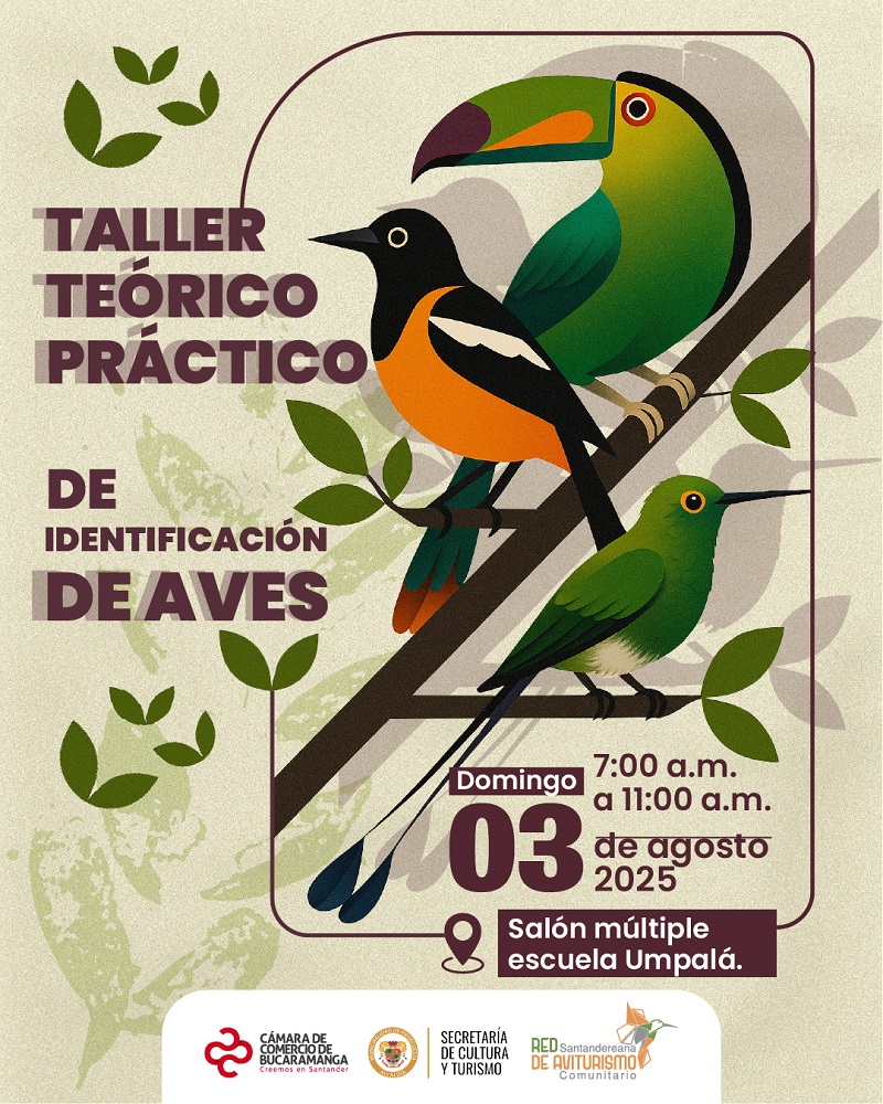 TALLER TEÓRICO PRÁCTICO DE IDENTIFICACIÓN DE AVES - UMPALÁ