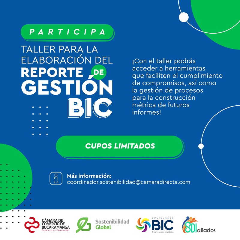 TALLER PARA LA ELABORACIÓN DEL REPORTE DE GESTIÓN BIC