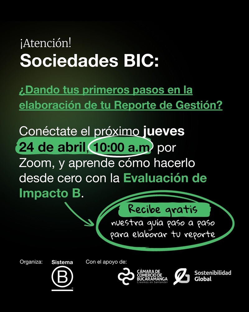 PASO A PASO REPORTE DE GESTIÓN PARA SOCIEDADES BIC