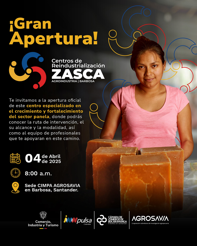 CENTROS DE REINDUSTRIALIZACI&Oacute;N ZASCA