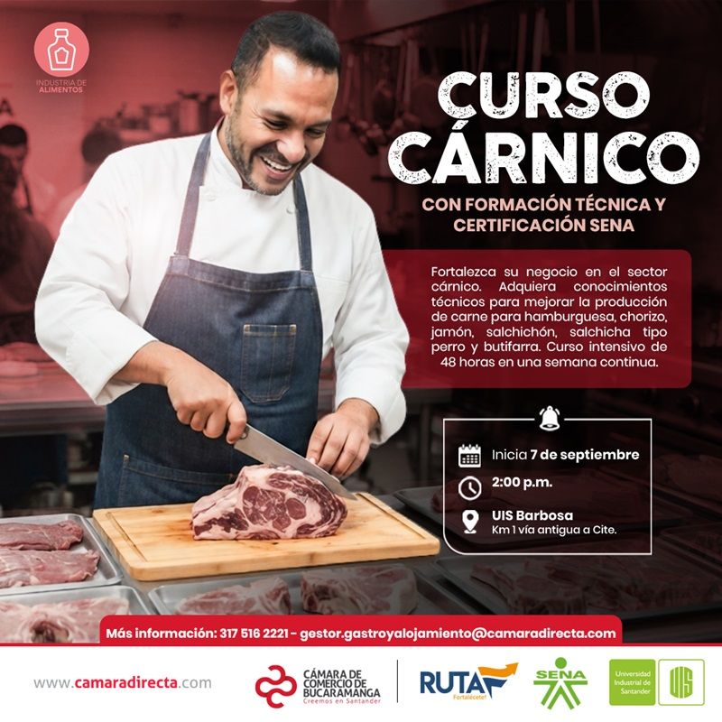 CURSO C&Aacute;RNICO