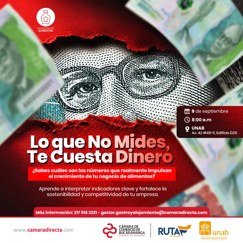 LO QUE NO MIDES, TE CUESTA DINERO