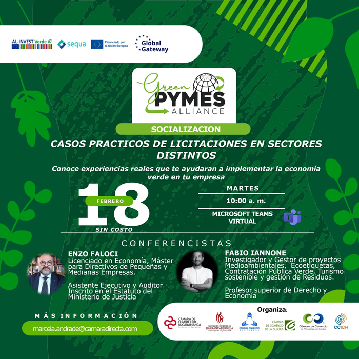 CASOS PR&Aacute;CTICOS DE LICITACIONES EN SECTORES DISTINTOS