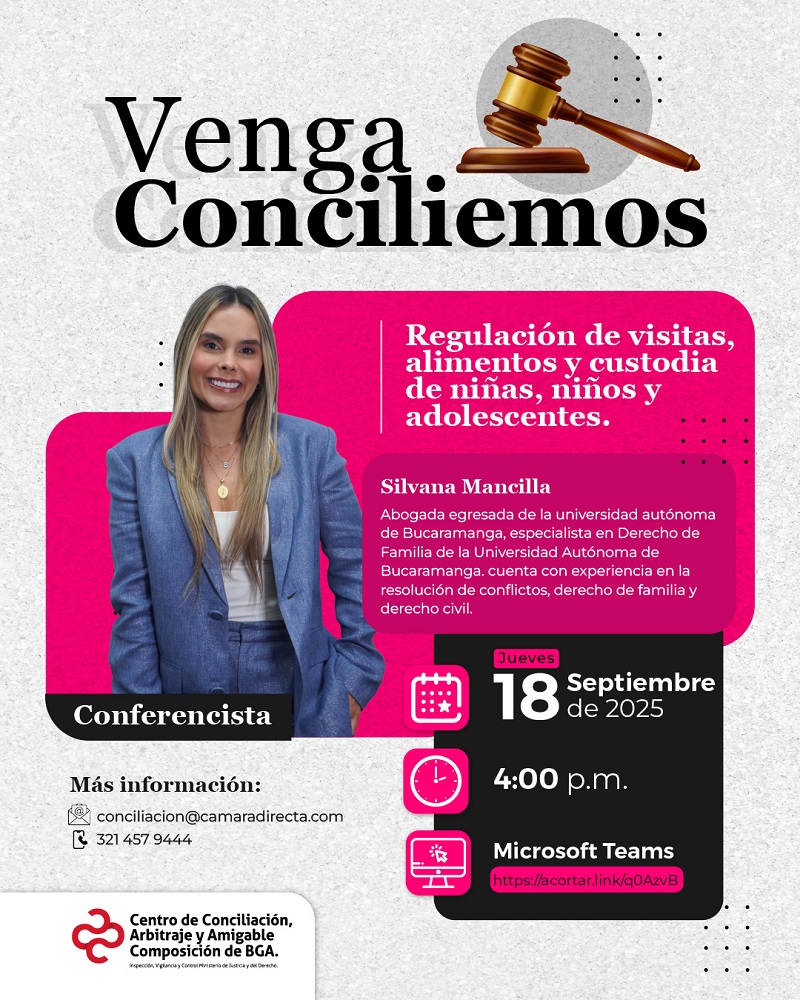 VENGA CONCILIEMOS - REGULACIÓN DE VISITAS, ALIMENTOS Y CUSTODIA