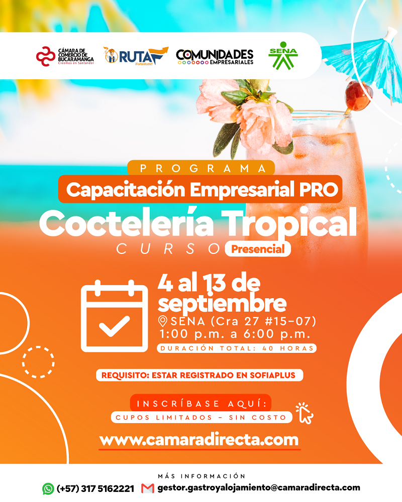 APRENDE A PREPARAR LOS MEJORES CÓCTELES TROPICALES