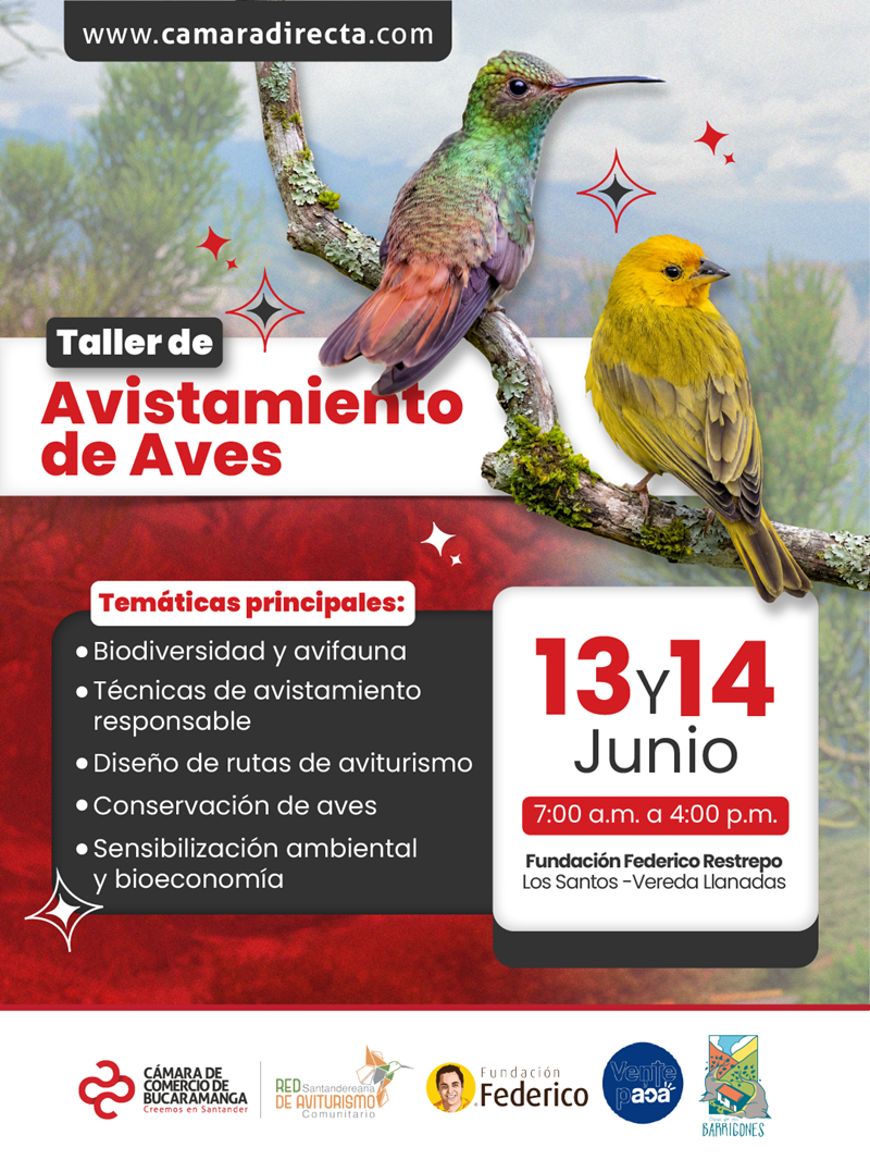 TALLER DE AVISTAMIENTO DE AVES LOS SANTOS