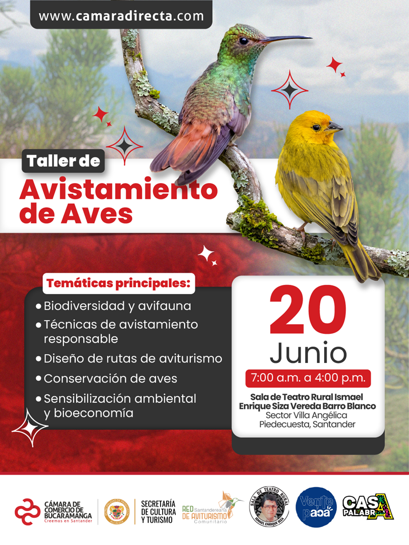 TALLER DE AVISTAMIENTO DE AVES PIEDECUESTA