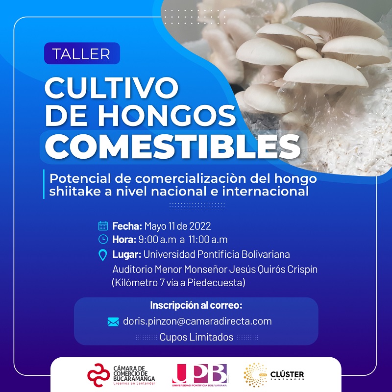 TALLER CULTIVO DE HONGOS COMESTIBLES